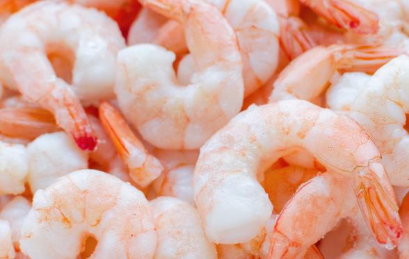 موارد استفاده از میگو فریز شده ریز در انواع غذا