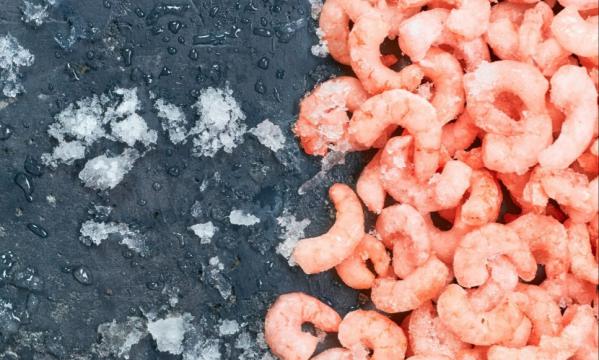 فروشنده عمده میگو منجمد بهداشتی اعلا