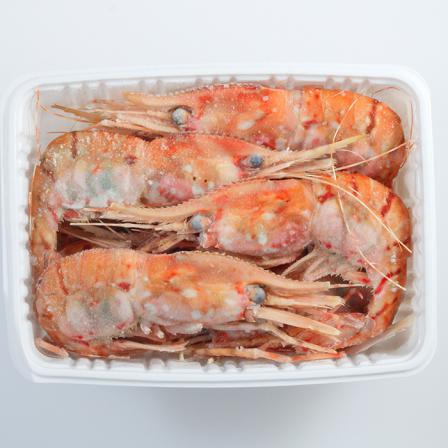 دانستنی های جالب درباره میگو یخ زده سایز متوسط