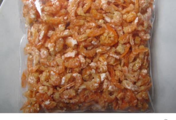 خرید مستقیم میگو منجمد سر کنده بسته بندی