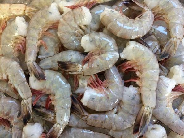 بررسی سایزهای مختلف میگو فریز شده پرورشی