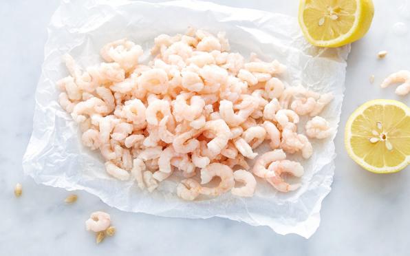 عرضه مستقیم میگو فریز شده ریز