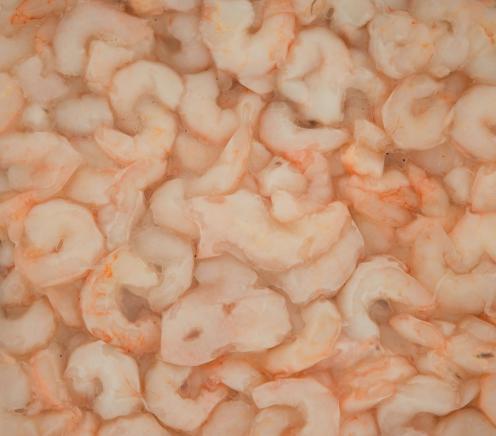 توزیع کننده بهترین میگو فریز شده 150 گرمی