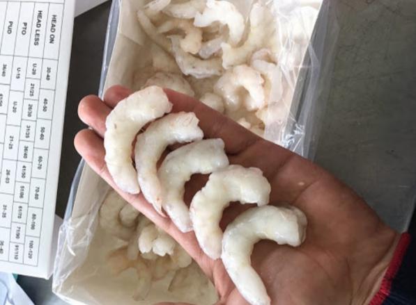 سفارش کلی میگو منجمد پوست کنده بسته بندی