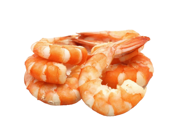 فروش عمده میگو منجمد بهداشتی