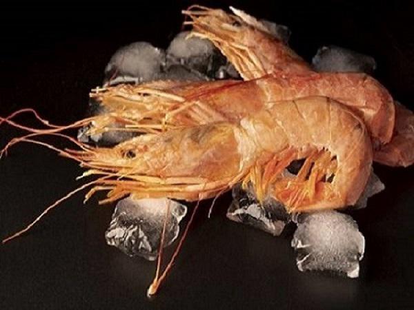 بهترین نوع میگو فریز شده درشت کدام است؟