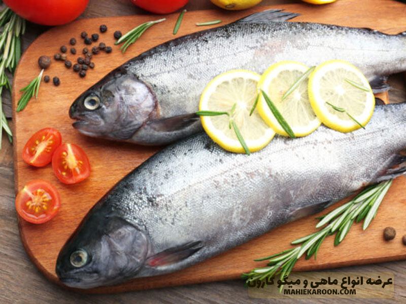 خاصیت ماهی برای سلامتی کودک