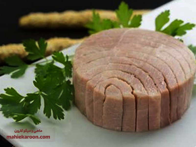 خواص تن ماهی برای کودکان