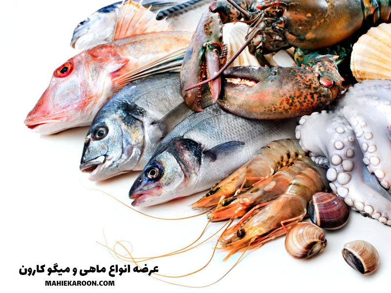 فواید ماهی برای کودکان