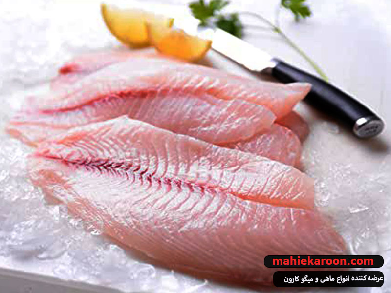 ماهی تیلاپیا