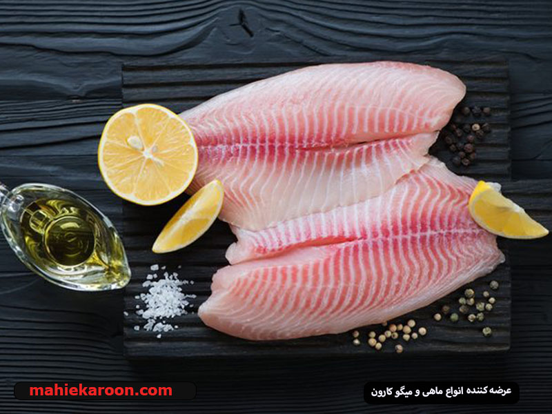 ماهی تیلاپیا