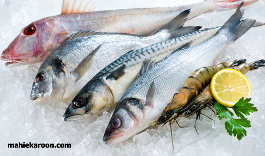 نگهداری ماهی فریز شده