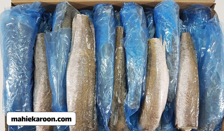 طرز نگهداری ماهی فریز شده