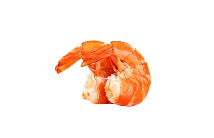 عکس آپلود نشد.