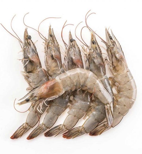 عکس آپلود نشد.