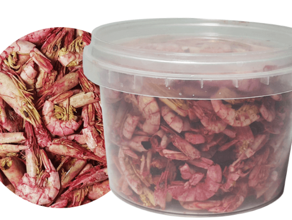 عکس آپلود نشد.