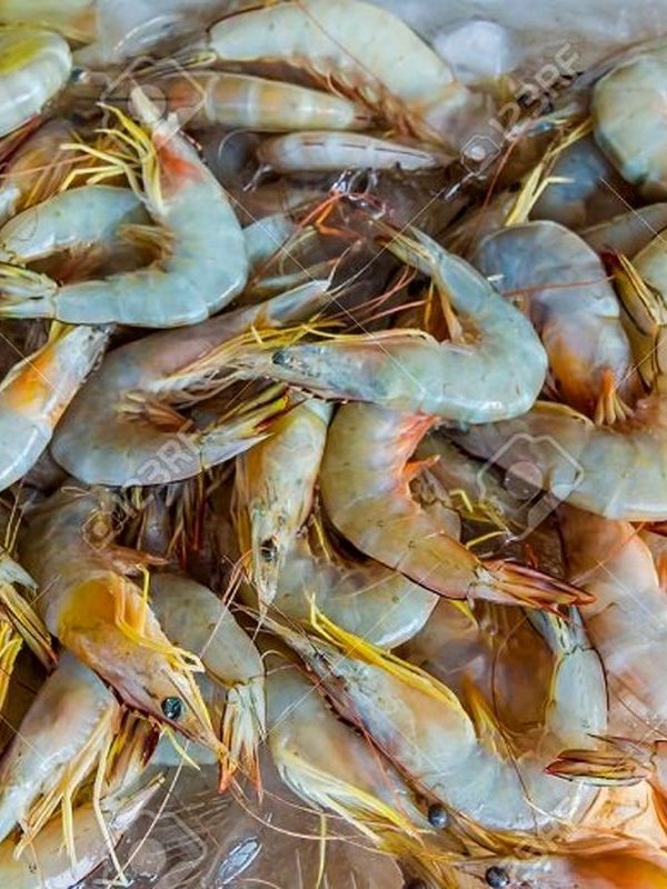 عکس آپلود نشد.