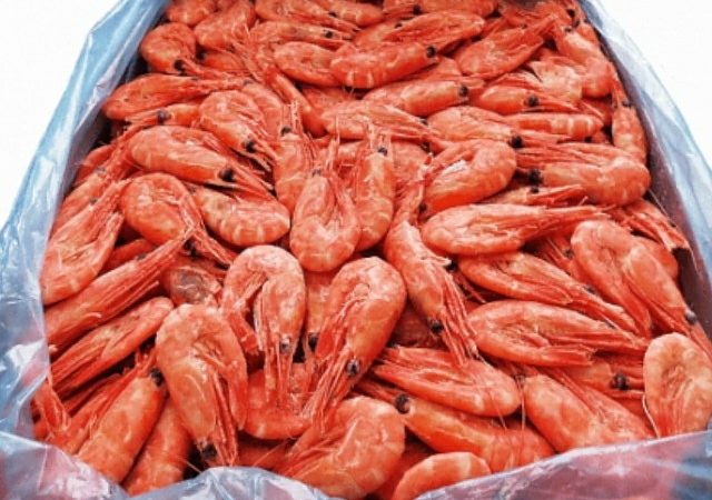 عکس آپلود نشد.