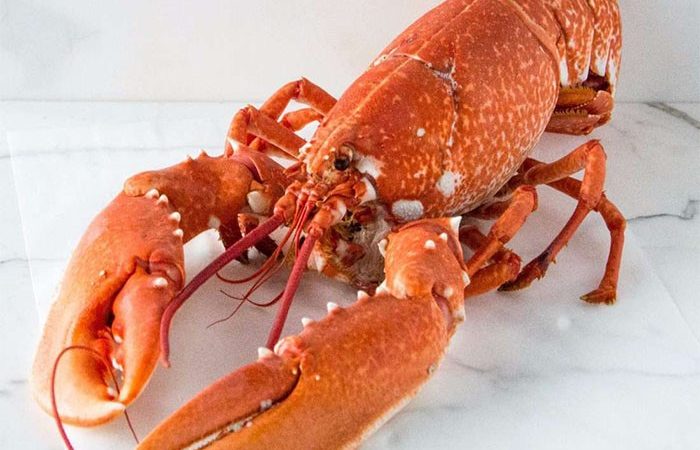 عکس آپلود نشد.