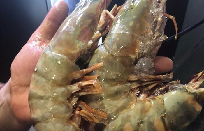 عکس آپلود نشد.