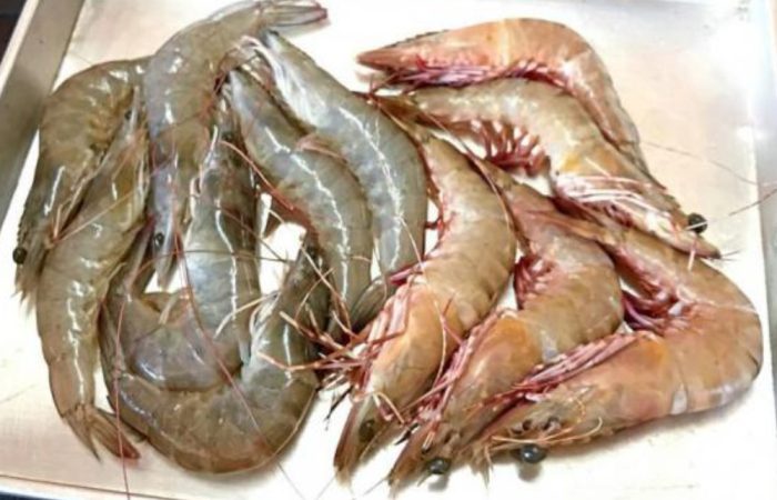 عکس آپلود نشد.