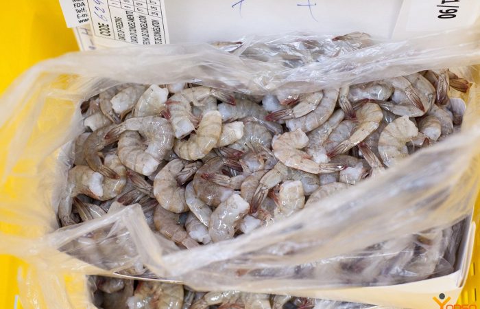 عکس آپلود نشد.