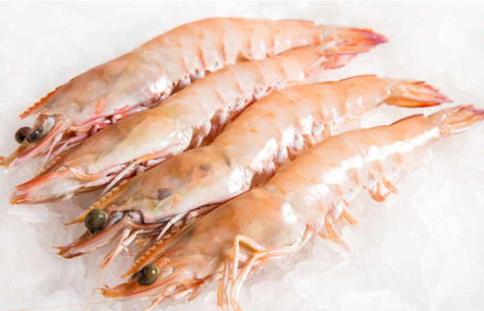 عکس آپلود نشد.