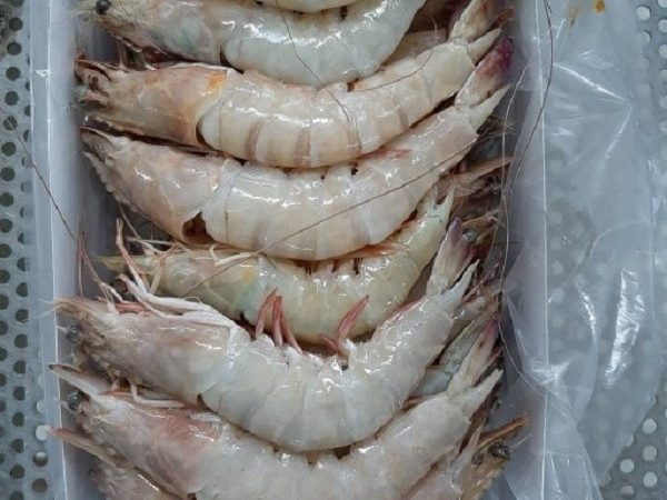 عکس آپلود نشد.