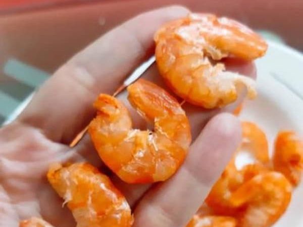 عکس آپلود نشد.