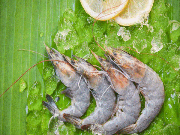 عکس آپلود نشد.