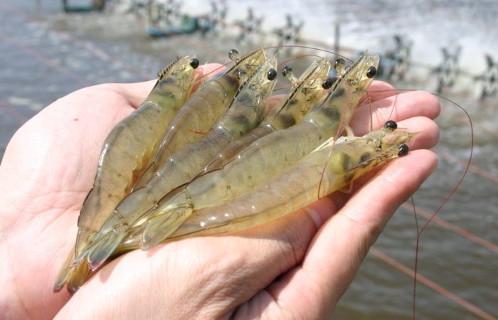 عکس آپلود نشد.