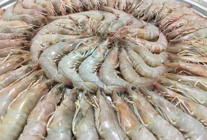 عکس آپلود نشد.